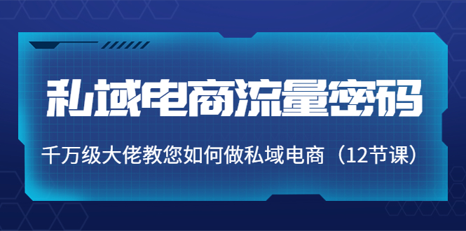 私域电商流量密码：千万级大佬教您如何做私域电商（12节课）-第一资源库