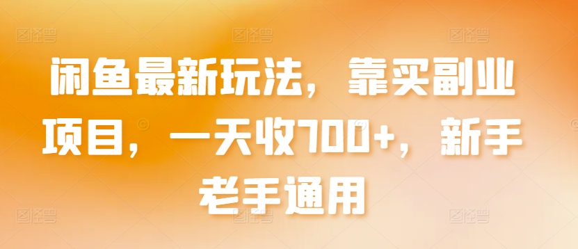 闲鱼最新玩法，靠买副业项目，一天收700+，新手老手通用【揭秘】-第一资源库