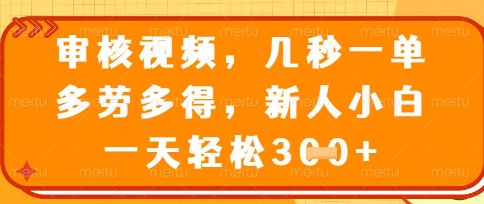 最新审核视频，几秒一单，多劳多得，新人小白一天轻松3张【揭秘】-第一资源库